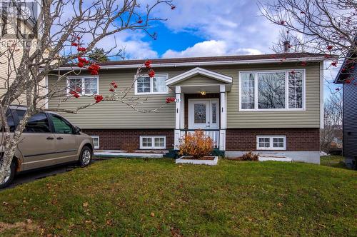 20 Walwyn Street  St John's, NL A1A 3W6