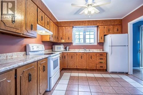 20 Walwyn Street, St John'S, NL - Indoor Photo Showing Kitchen