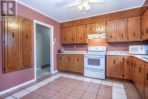 20 Walwyn Street, St John'S, NL - Indoor Photo Showing Kitchen