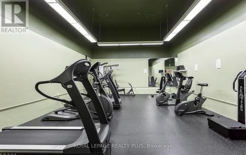Ph8 - 5 Lisa Street, Brampton, ON - Indoor Photo Showing Gym Room
