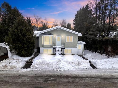 Façade - 1581  - 1583 Rue Murray, Sainte-Agathe-Des-Monts, QC - Outdoor