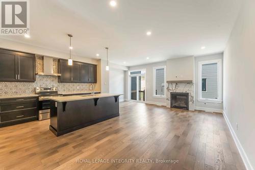 1166 Cope Drive, Ottawa, ON - Indoor Photo Showing Kitchen With Fireplace With Upgraded Kitchen