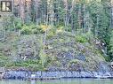 9 Aline Hills Beach, Sicamous, BC 