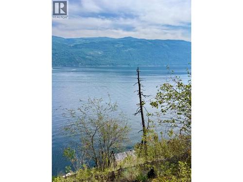 Top View - 9 Aline Hills Beach, Sicamous, BC 
