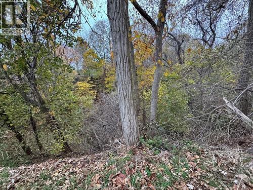 1239 Oxford & Lot 13 Oxford Avenue, Kingsville, ON - Outdoor With View