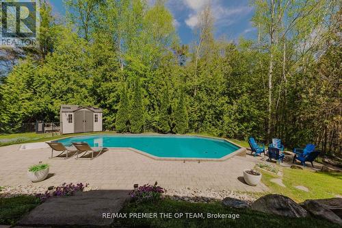 1856 Innisbrook Street, Innisfil, ON - Outdoor With In Ground Pool