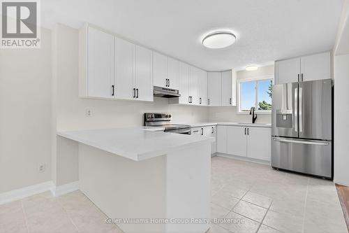 238 Briarmeadow Drive, Kitchener, ON - Indoor Photo Showing Kitchen