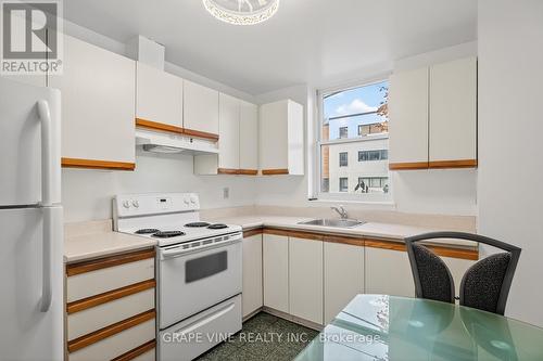 102 - 50 Burnside Avenue, Ottawa, ON - Indoor Photo Showing Kitchen
