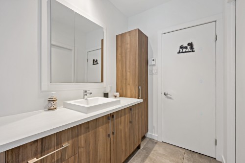 Salle de bains - 161 Ch. Du Retour-Aux-Sources, Amherst, QC - Indoor Photo Showing Bathroom