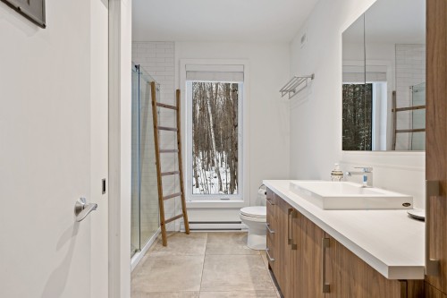 Salle de bains - 161 Ch. Du Retour-Aux-Sources, Amherst, QC - Indoor Photo Showing Bathroom