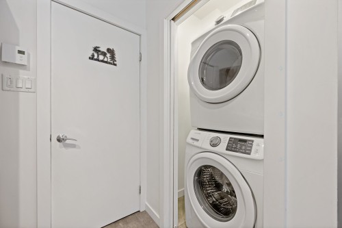 Salle de bains - 161 Ch. Du Retour-Aux-Sources, Amherst, QC - Indoor Photo Showing Laundry Room