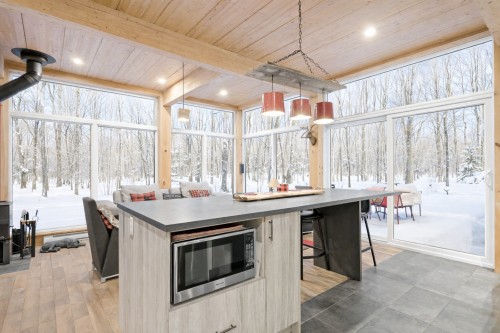 Kitchen - 171 Ch. Du Retour-Aux-Sources, Amherst, QC - Indoor