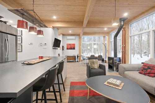 Overall view - 171 Ch. Du Retour-Aux-Sources, Amherst, QC - Indoor