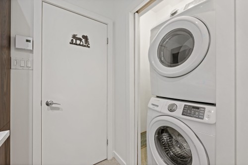 Laundry - 171 Ch. Du Retour-Aux-Sources, Amherst, QC - Indoor Photo Showing Laundry Room