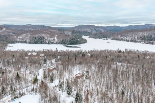 Aerial View - 171 Ch. Du Retour-Aux-Sources, Amherst, QC - Outdoor With View