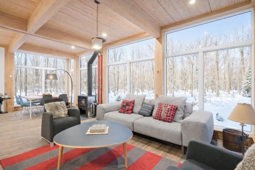 Living Room - 171 Ch. Du Retour-Aux-Sources, Amherst, QC - Indoor Photo Showing Living Room