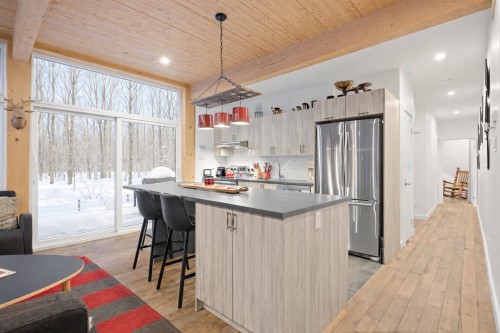 Kitchen - 171 Ch. Du Retour-Aux-Sources, Amherst, QC - Indoor Photo Showing Kitchen With Upgraded Kitchen