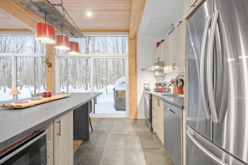 Kitchen - 171 Ch. Du Retour-Aux-Sources, Amherst, QC - Indoor Photo Showing Kitchen