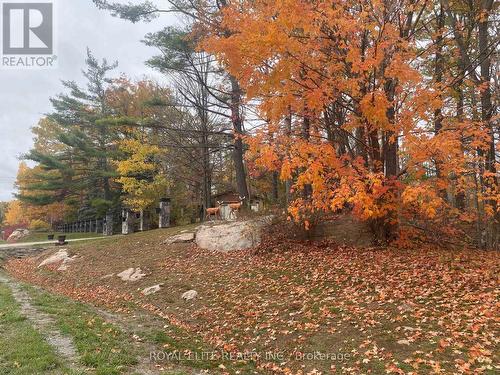 2943 County Rd 36, Trent Lakes, ON - Outdoor