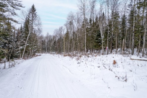 Vue d'ensemble - Ch. De La Nature, La Macaza, QC 