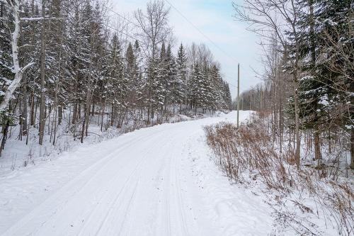Vue d'ensemble - Ch. De La Nature, La Macaza, QC 
