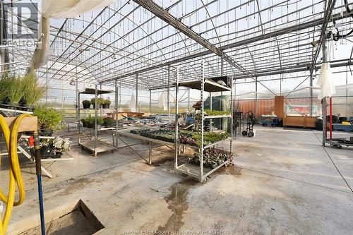 585 Seacliff Drive, Kingsville, ON 