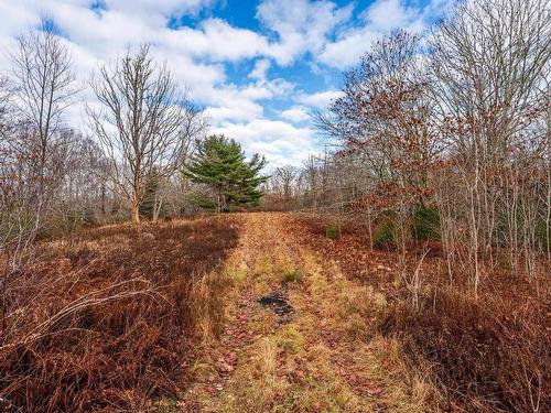 935 Hamilton Road, Raynardton, NS 