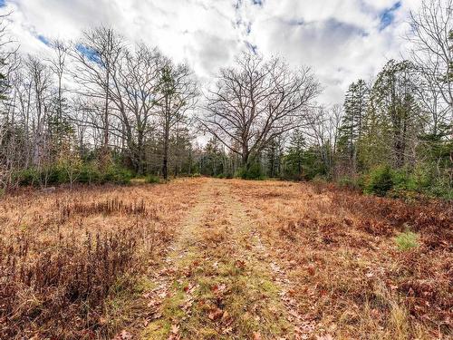 935 Hamilton Road, Raynardton, NS 