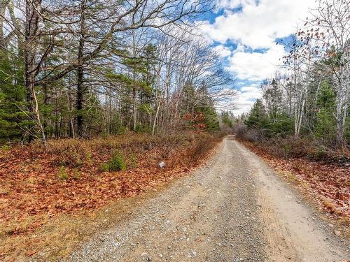 935 Hamilton Road, Raynardton, NS 