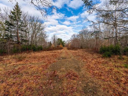 935 Hamilton Road, Raynardton, NS 