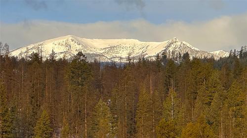 454 Forest Crowne Rise, Kimberley, BC - Outdoor With View