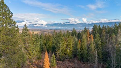 2008 Corn Creek Road, Creston, BC - Outdoor With View