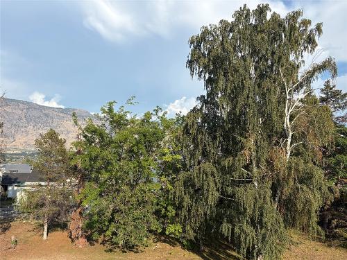 24-9107 62Nd Avenue, Osoyoos, BC - Outdoor With View