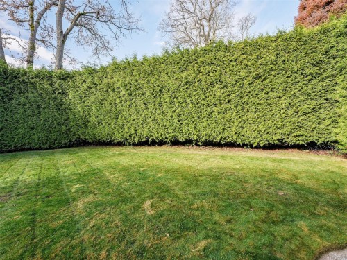 4179 Tuxedo Dr, Saanich, BC 