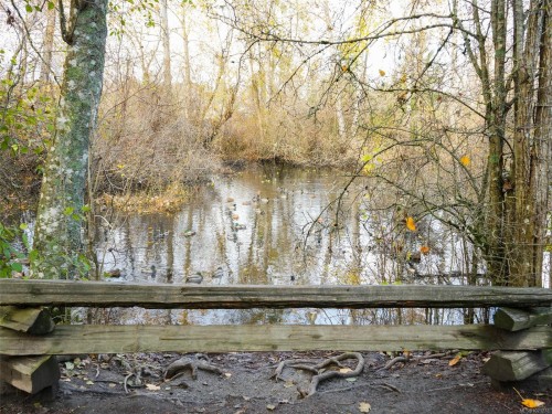 4179 Tuxedo Dr, Saanich, BC 