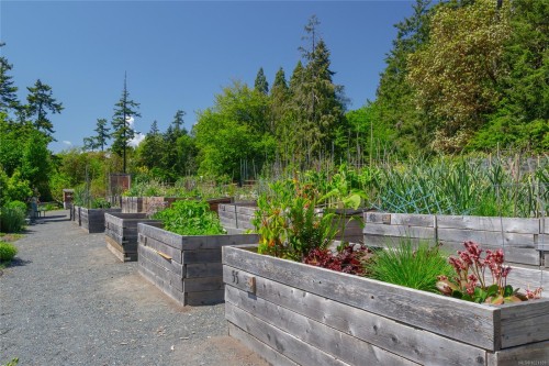 506-69 Gorge Rd West, Saanich, BC - Outdoor