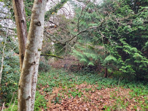 530 Pythian Lane, Nanaimo, BC 