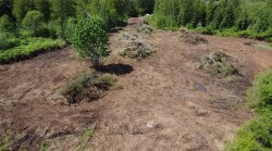 2993 Neigel Cres  Campbell River, BC V9H 1N3