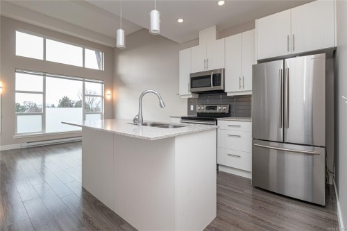 504-1020 Inverness Rd, Saanich, BC - Indoor Photo Showing Kitchen With Stainless Steel Kitchen With Upgraded Kitchen