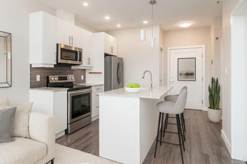 504-1020 Inverness Rd, Saanich, BC - Indoor Photo Showing Kitchen With Stainless Steel Kitchen With Upgraded Kitchen