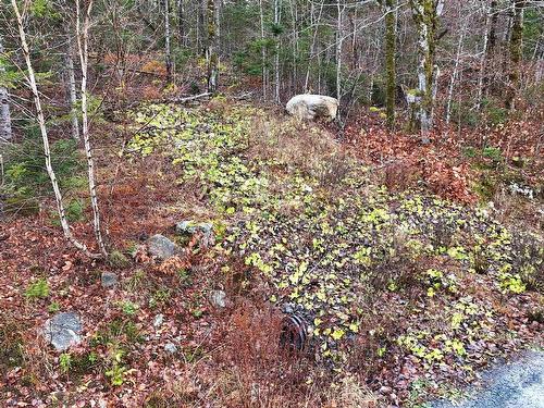 Lot 5 Nathan Croft Road, Camperdown, NS 