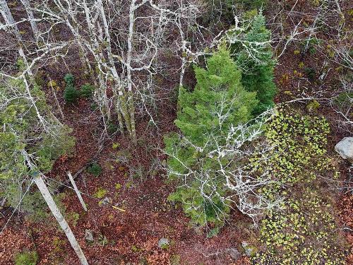 Lot 5 Nathan Croft Road, Camperdown, NS 
