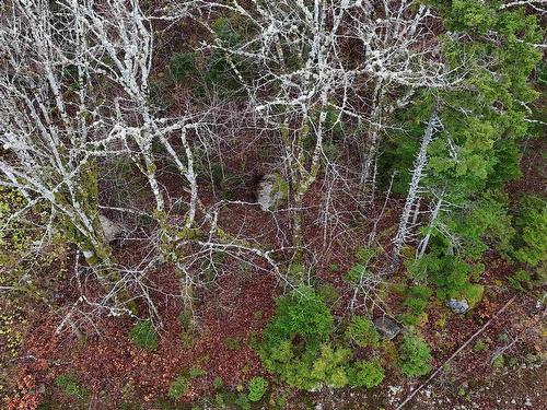 Lot 5 Nathan Croft Road, Camperdown, NS 