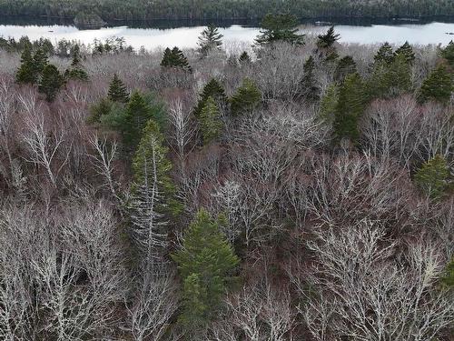 Lot 5 Nathan Croft Road, Camperdown, NS 