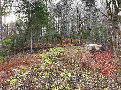 Lot 5 Nathan Croft Road, Camperdown, NS 