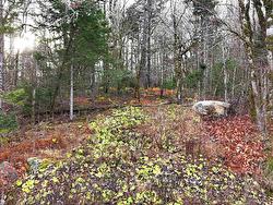 Lot 5 Nathan Croft Road  Camperdown, NS B4V 6T9