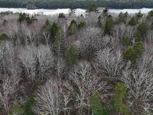 Lot 5 Nathan Croft Road, Camperdown, NS 