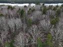 Lot 5 Nathan Croft Road, Camperdown, NS 
