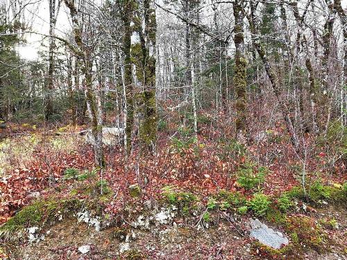 Lot 5 Nathan Croft Road, Camperdown, NS 