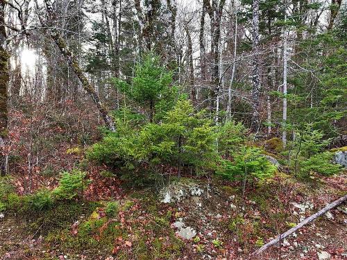 Lot 5 Nathan Croft Road, Camperdown, NS 